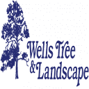 Parker Interior Plantscape