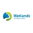 Wetlands International logo