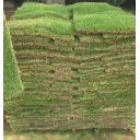 SiteOne Landscape Supply