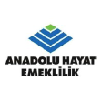 ANHYT logo