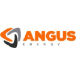 ANGS logo