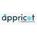 Appricot IT Consultants logo