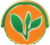 Aditya Trading - Arati tea