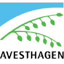 AVESTHAGEN LIMITED