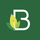 Basil