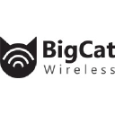 BigCat Wireless