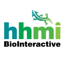 HHMI BioInteractive logo
