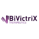 BVX logo