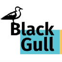 BlackGull