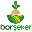 BORSK logo