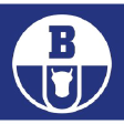BOW logo
