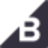 BRAV logo