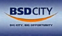 BSDE logo
