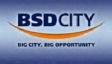 BSDE logo