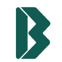 BVN N logo