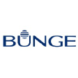 BG N logo