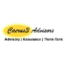 Caerus3 Advisors & Think-Tank