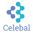 Celebal India Solutions Pvt. Ltd.
