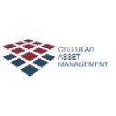 Cellular Asset Management Ltd