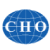 C13 logo