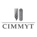 CIMMYT (International Maize and Wheat Improvement Center) logo