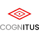 Cognitus Consulting logo