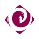 C41 logo