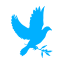 Stickland Wright architecture + interiors