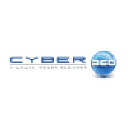 Cyber 360