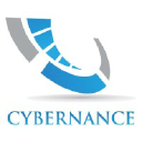 Cybernance