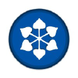 523369 logo