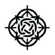 DFM logo