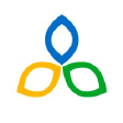 DIGIZ logo