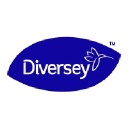 DSEY logo