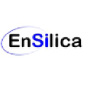 ENSI logo