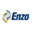 ENZ logo