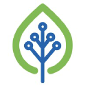 Stimwave Technologies