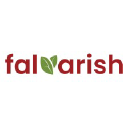 Falvarish