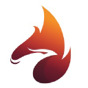 Feenix Venture Partners LLC investor & venture capital firm logo