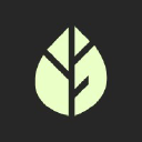 Fiat Ventures investor & venture capital firm logo
