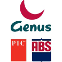 GNS logo