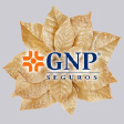 GNP * logo