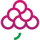 GrapesTech Solutions Pvt. Ltd.