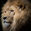 Titan Development and Investments