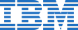 IBM * logo