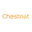 Chestnut Tech logo