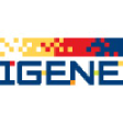 IGNE logo