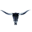 Aline Capital