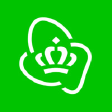 KPN N logo
