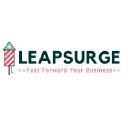LeapSurge Business Innovations